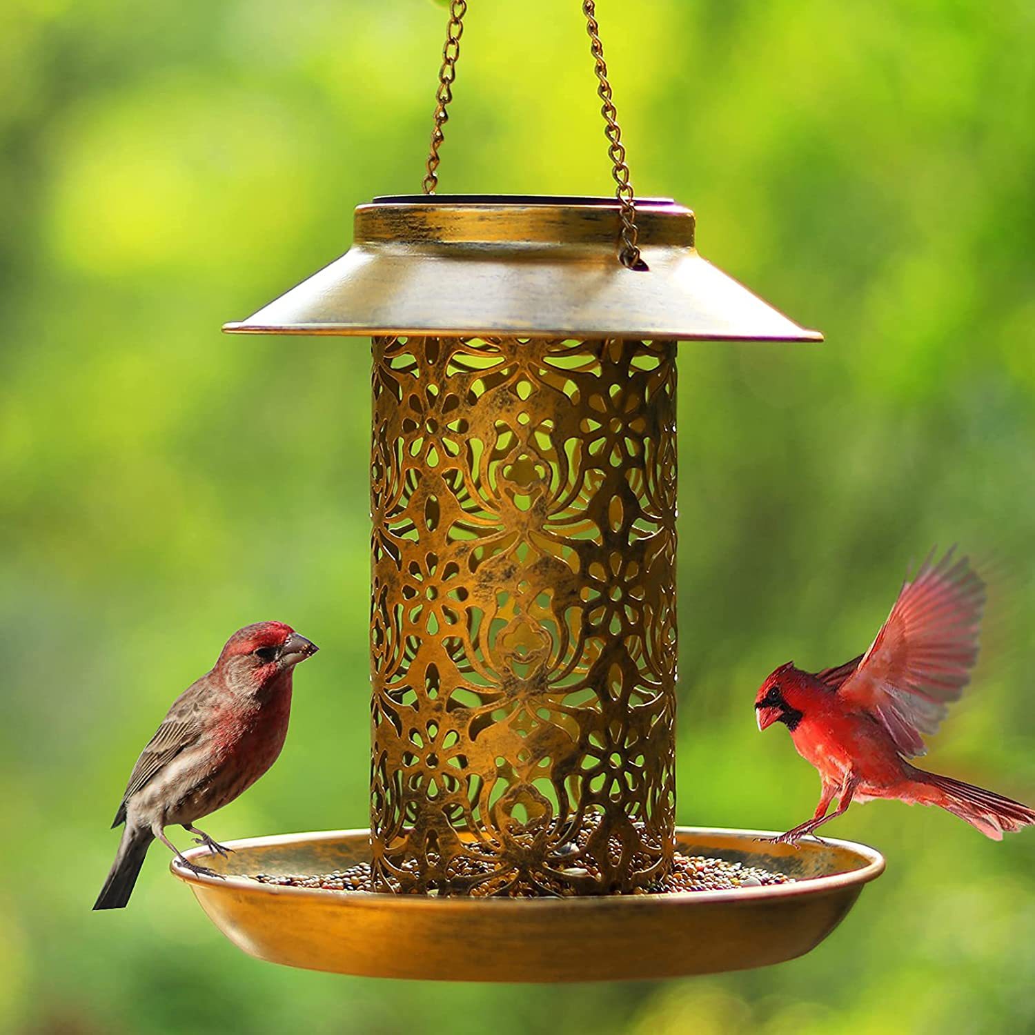 Outdoor Lighting Decor Ideas - Maison d'oiseaux suspendue en métal, mangeoire